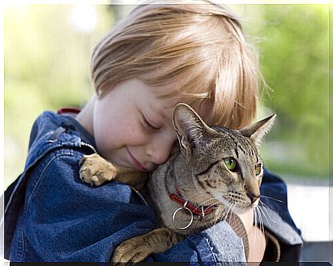 5 Lessons Kids Can Learn From Cats