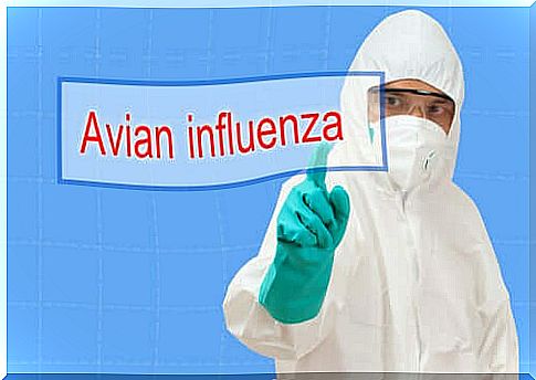 Influenza aviária