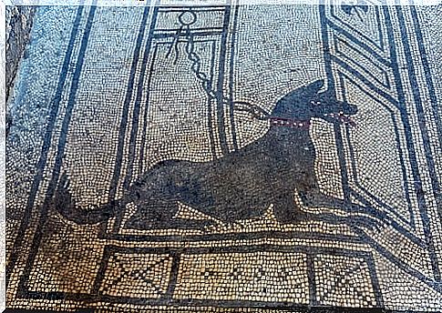 animals in ancient Rome: mosaic showing a guard dog