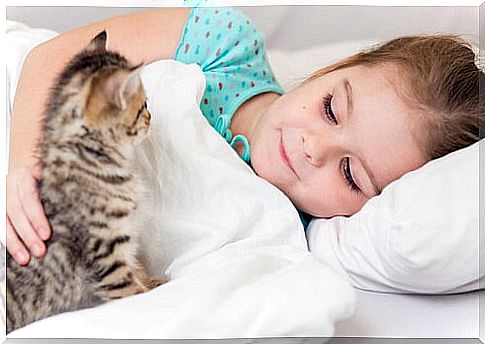 Are cats good pets for children?