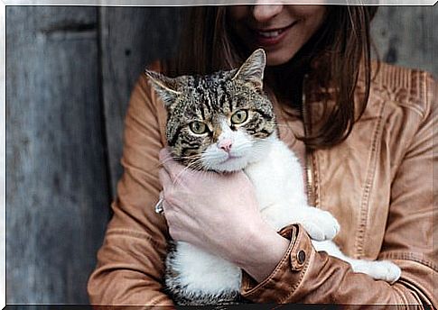 woman with cat in her lap