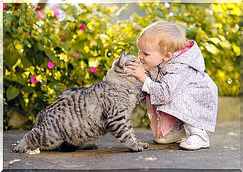 Are cats good pets for children?