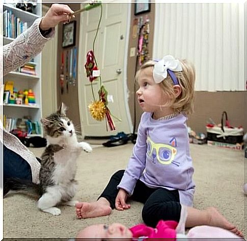 Best Friends: A three-legged kitten is adopted by a girl with an amputated arm