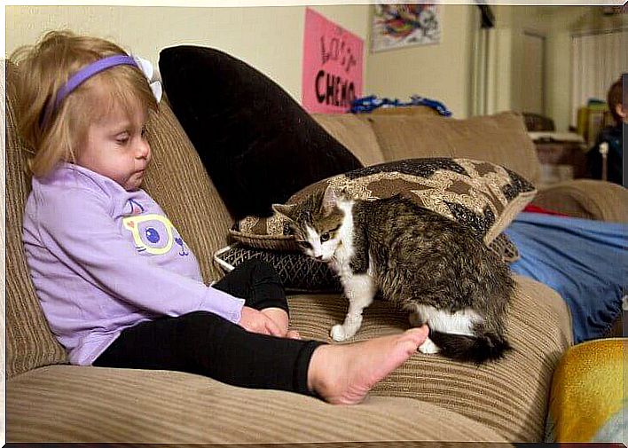 little girl and kitten