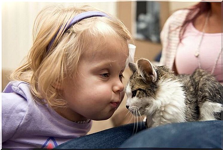 girl and kitten