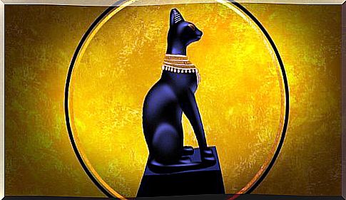 Cats Lifestyle in Ancient Egypt