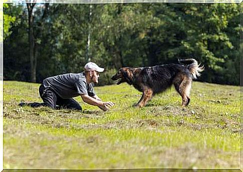 adestramento-canino-3