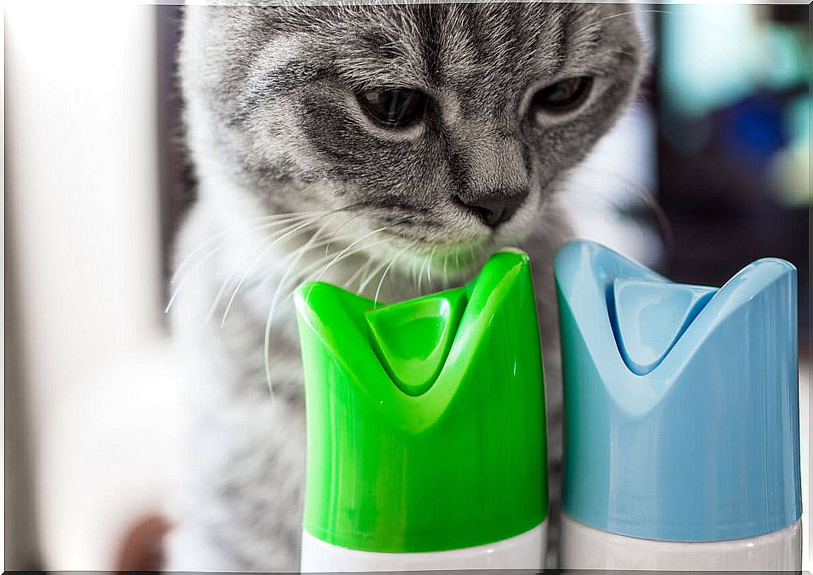 Some household products can be harmful to your pet.