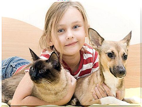 girl, dog and cat