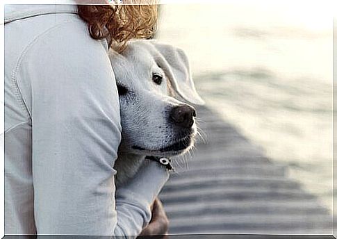 woman hugging dog