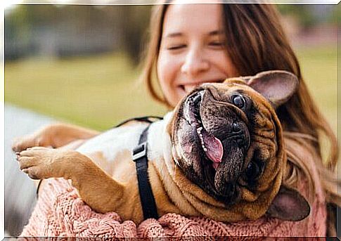 Happy dog ​​on the owner's lap