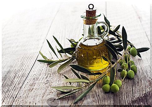 Olive oil for the treatment of canine skin