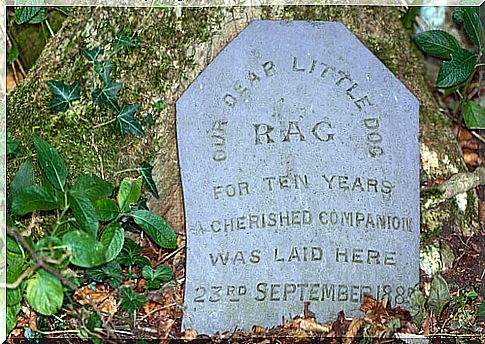 headstone for animals