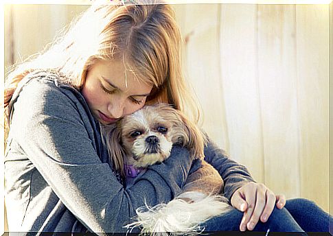 Pets are the best medicine to overcome depression