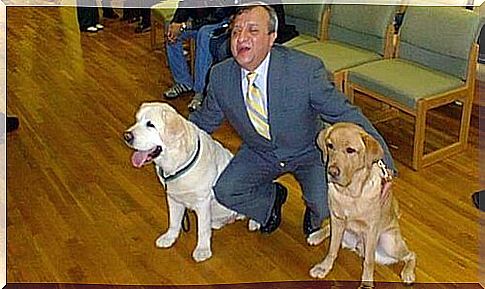 The guide dog that, on 9/11, returned to save its owner's life