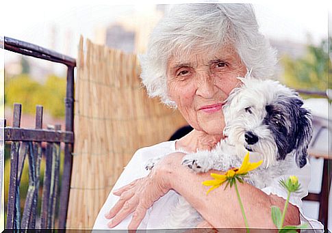 dog and old woman