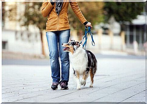 woman walking her dog