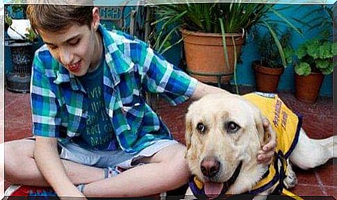 blind boy with guide dog