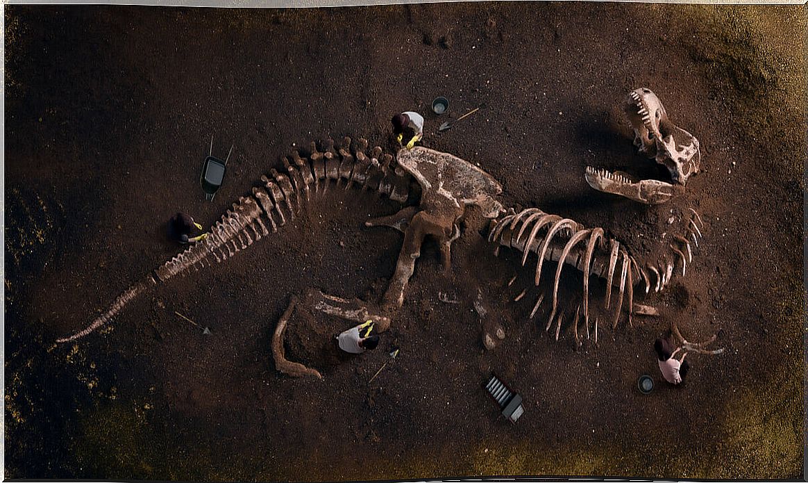 Example of the oldest dinosaurs.