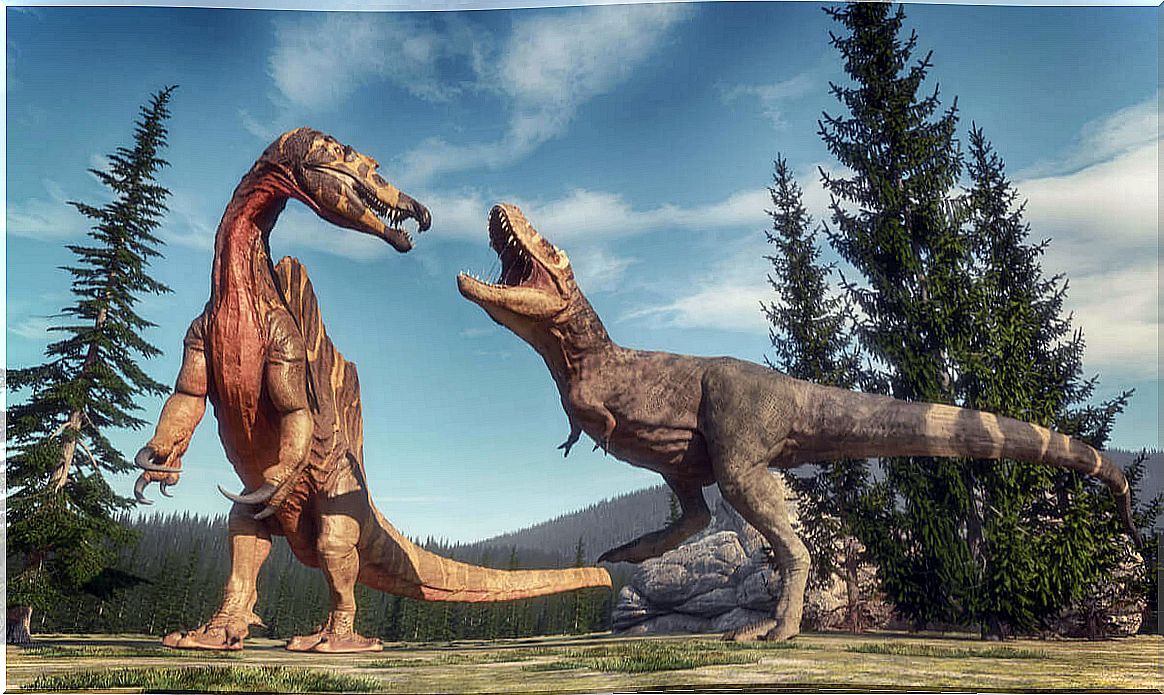 A fight between dinosaurs.