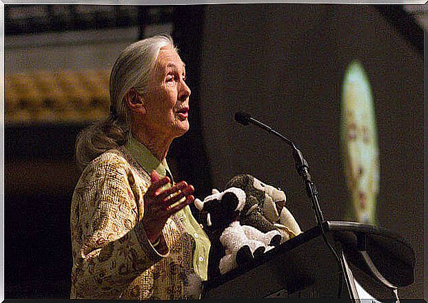 Who is Jane Goodall